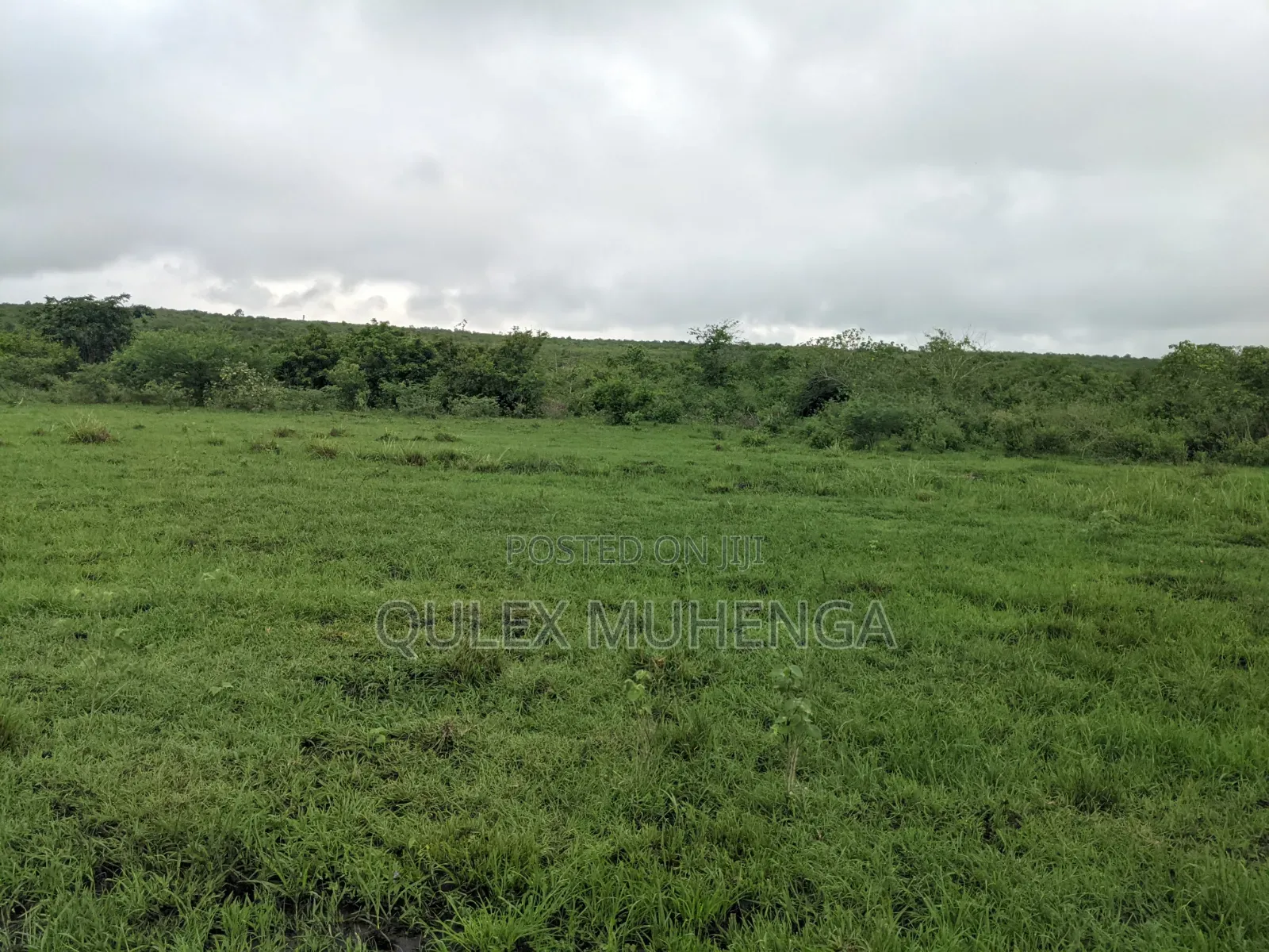 Big Farming Welcome Bagamoyo Tanzania