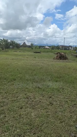 Viwanja Kyela, Mbeya
