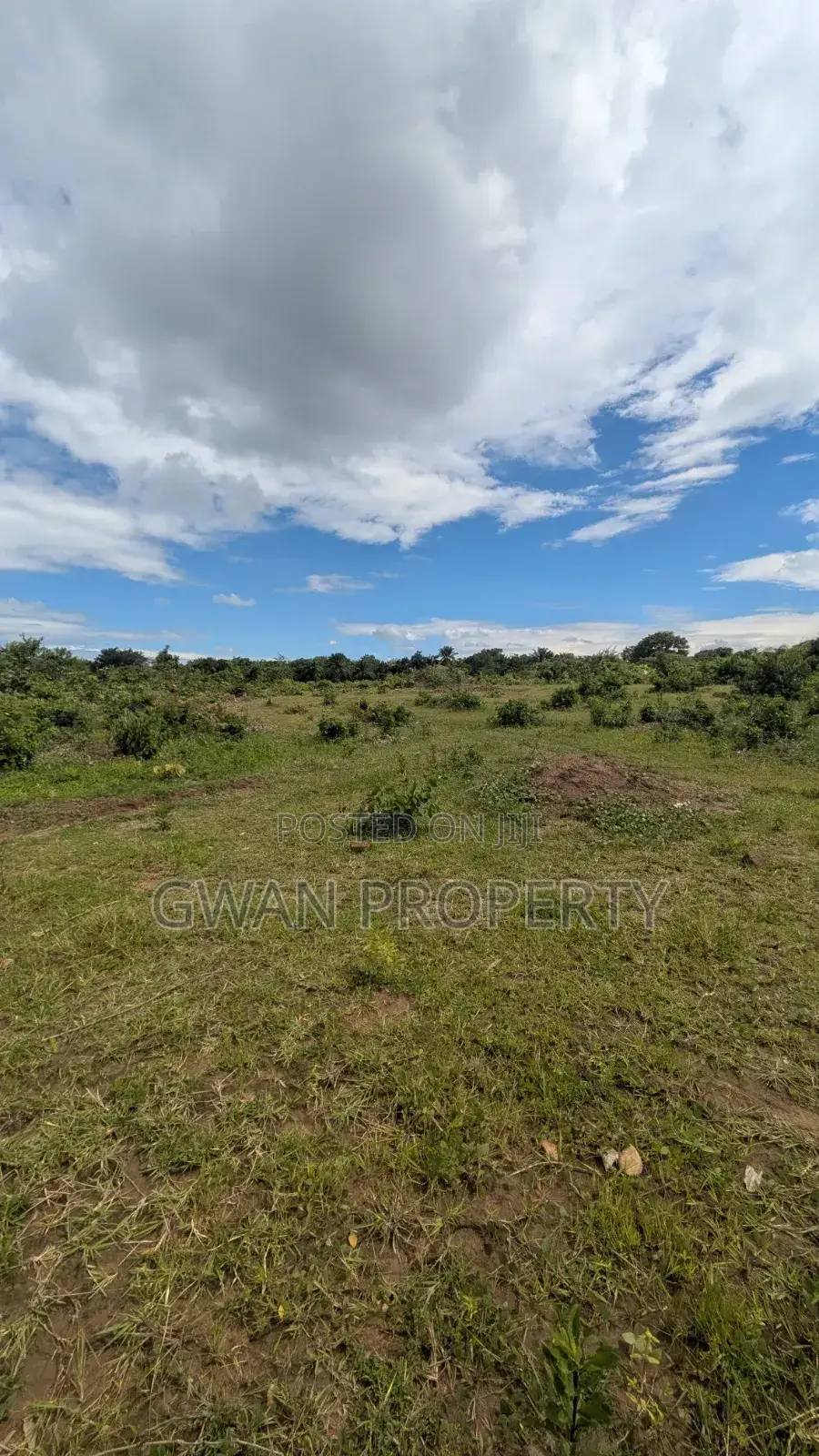 Viwanja Kyela, Mbeya
