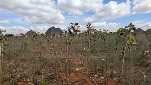 Kiwanja Kikubwa Udom