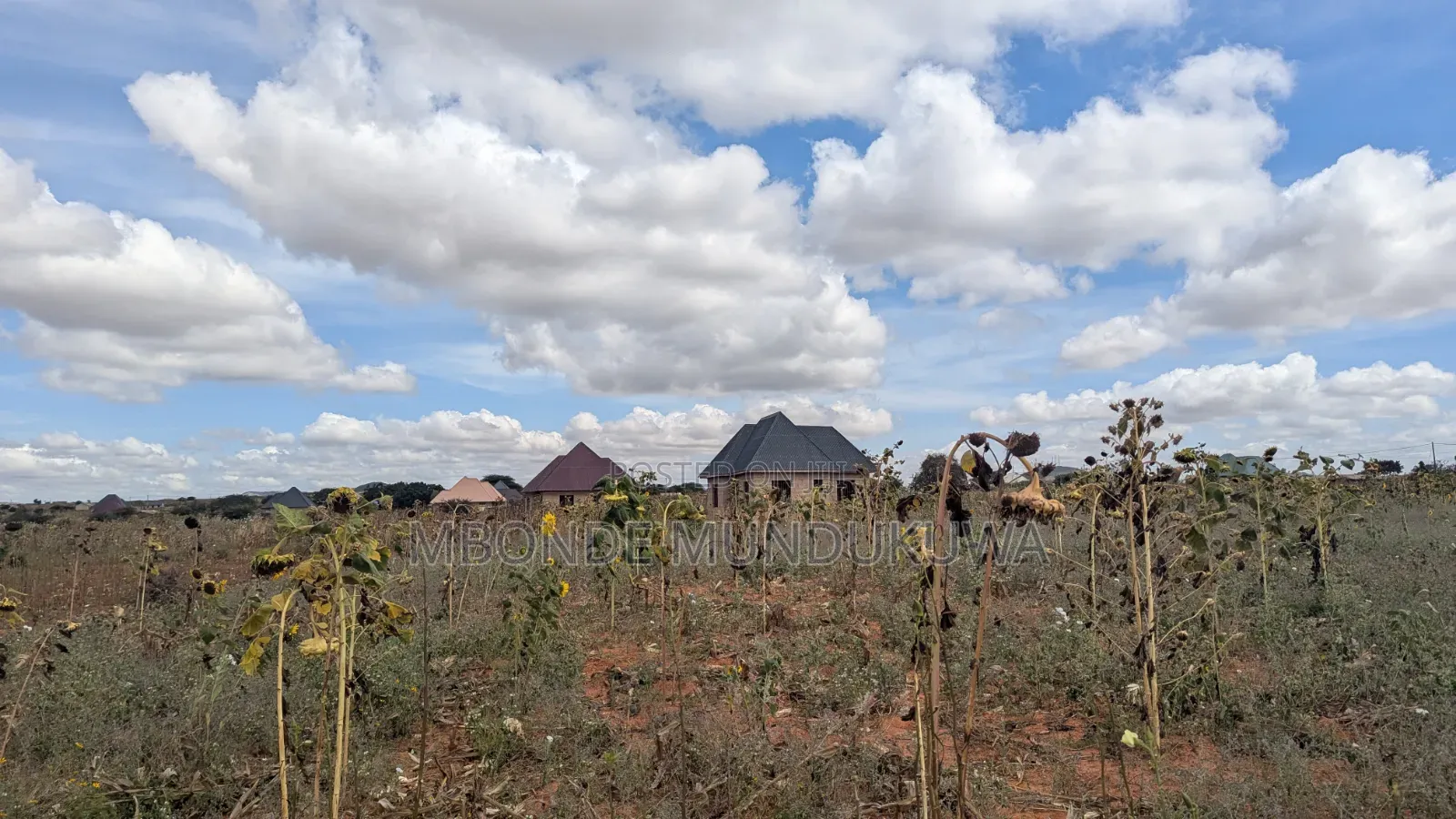 Kiwanja Kikubwa Udom