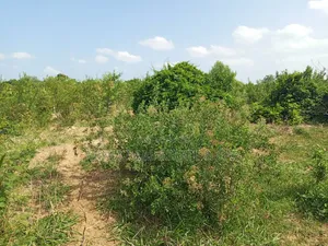 The Farm or Shamba for Irrigation for Sale Nearly Wami River