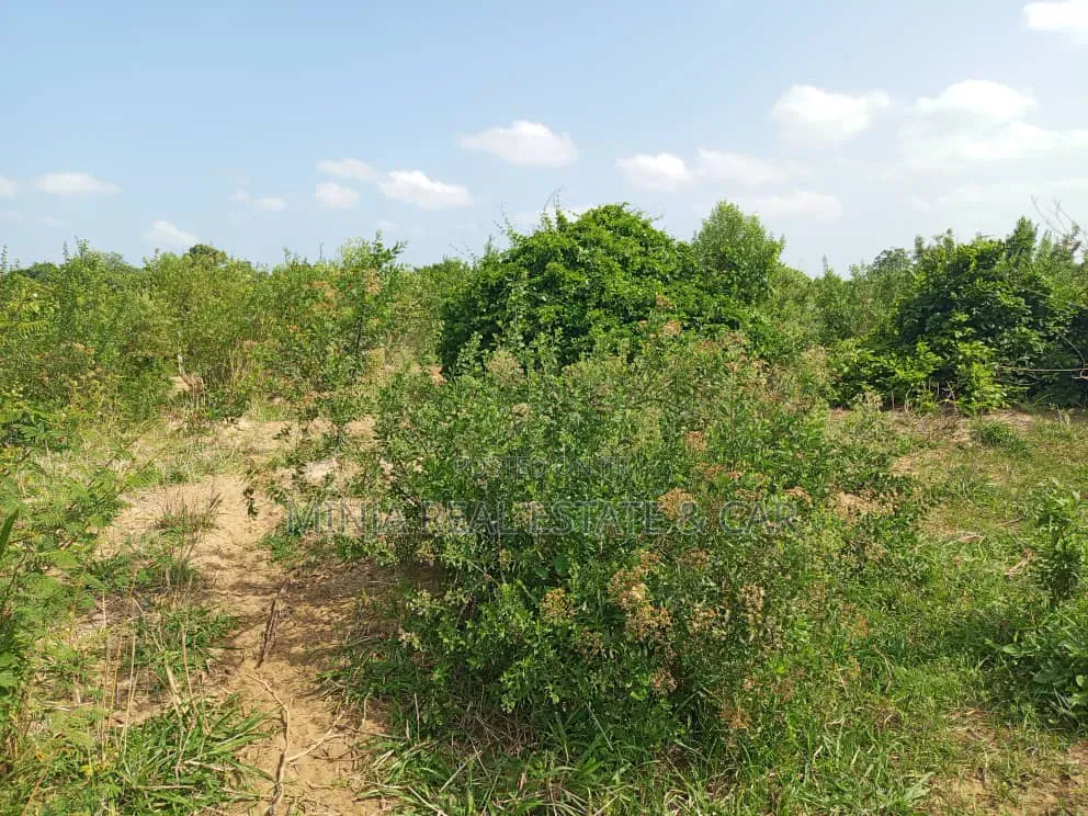The Farm or Shamba for Irrigation for Sale Nearly Wami River