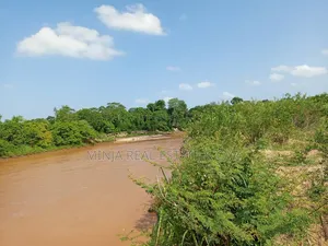 The Farm or Shamba for Irrigation for Sale Nearly Wami River