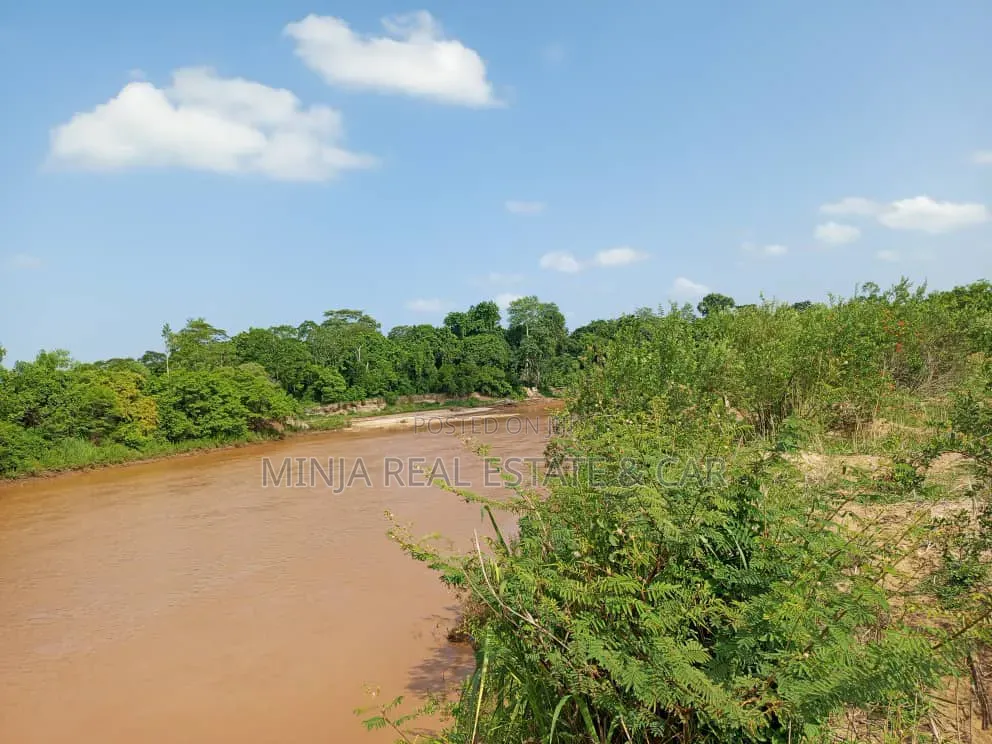 The Farm or Shamba for Irrigation for Sale Nearly Wami River