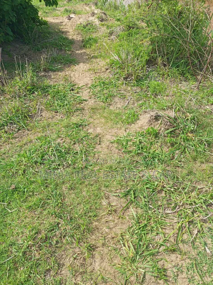 The Farm or Shamba for Irrigation for Sale Nearly Wami River