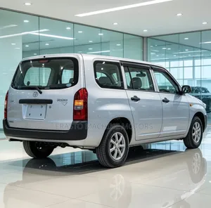 Toyota Probox 2014 Silver
