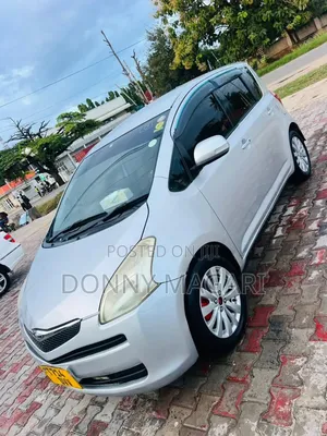 Toyota Ractis 2009 Silver