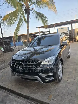 Mercedes-Benz M Class 2014 Black