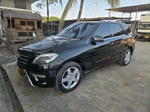 Mercedes-Benz M Class 2014 Black