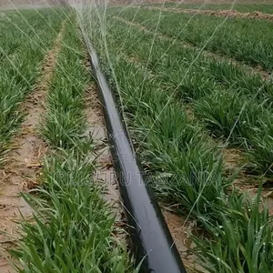 Rain Hose Irrigation