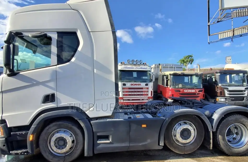 Scania Horse 2019 On Sale