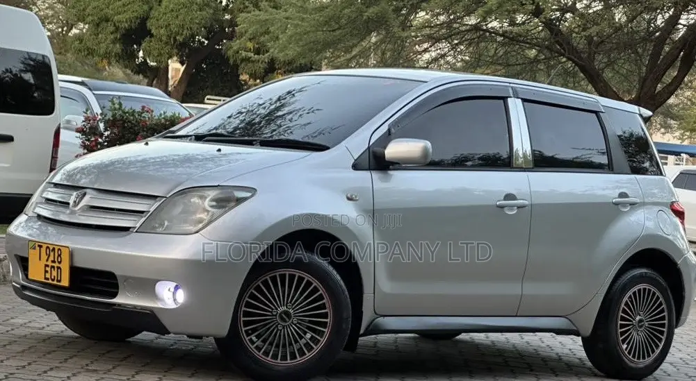 Toyota IST 2004 Silver
