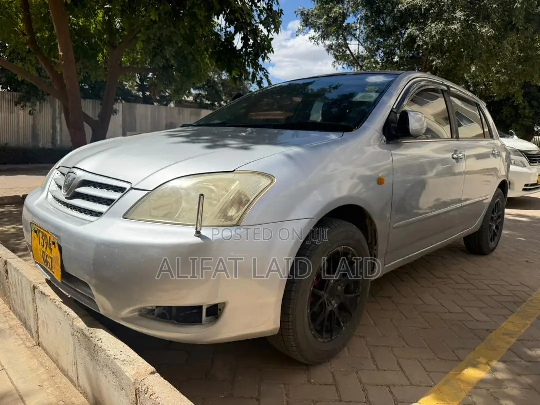 Toyota Allex 2004 Silver