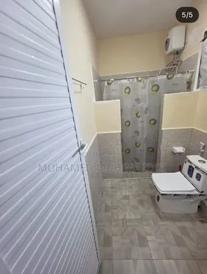 Furnished 1bdrm Apartment in Upanga for rent