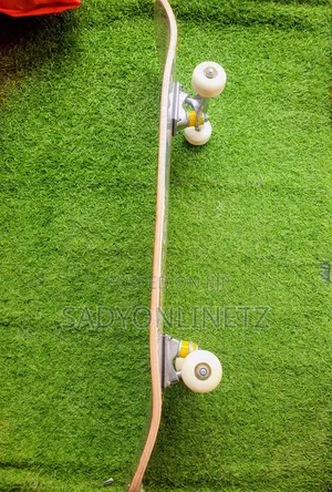 Adult Skateboard
