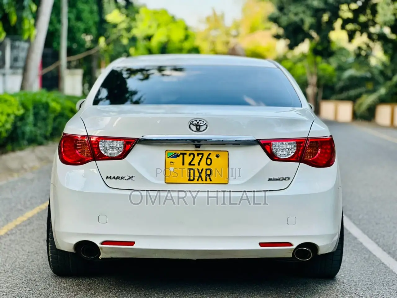 Toyota Mark X 2010 Pearl