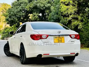 Toyota Mark X 2010 Pearl