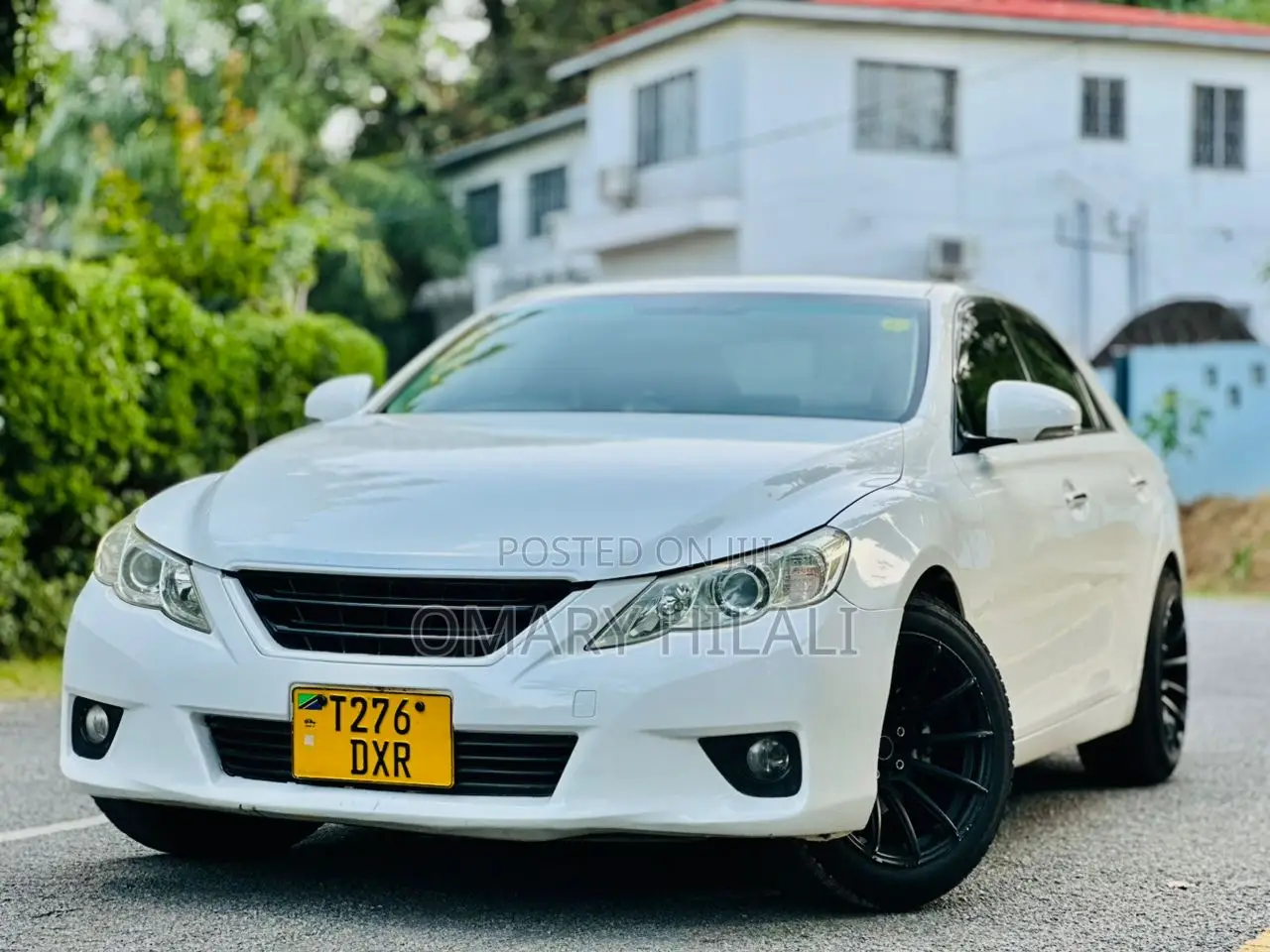 Toyota Mark X 2010 Pearl