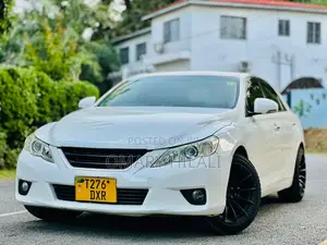 Toyota Mark X 2010 Pearl