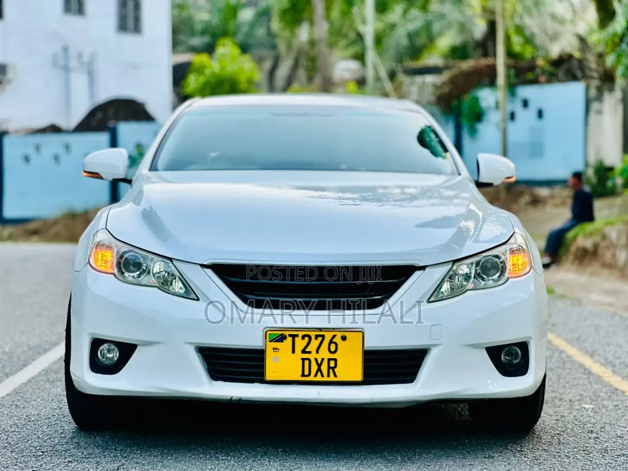 Toyota Mark X 2010 Pearl