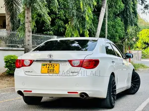 Toyota Mark X 2010 Pearl