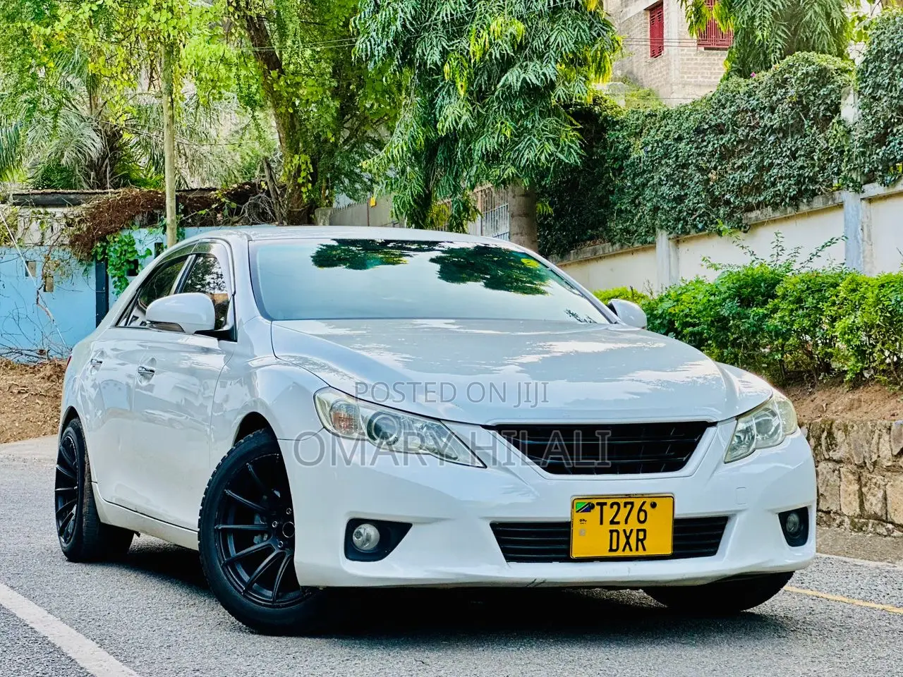 Toyota Mark X 2010 Pearl