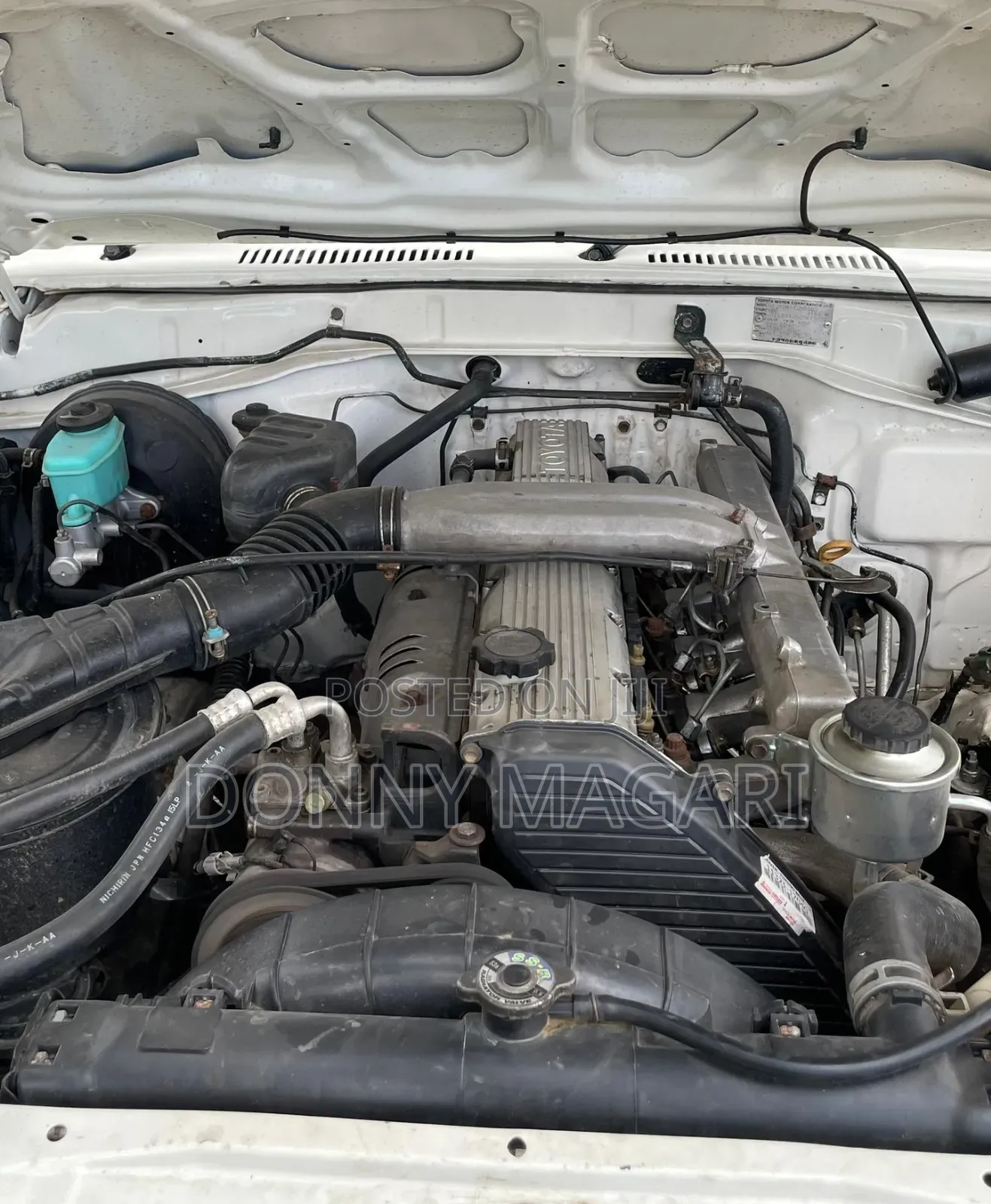 Toyota Land Cruiser 2002 White
