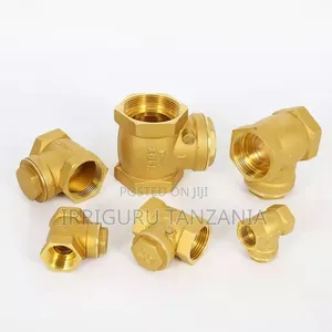 Non Return Valve