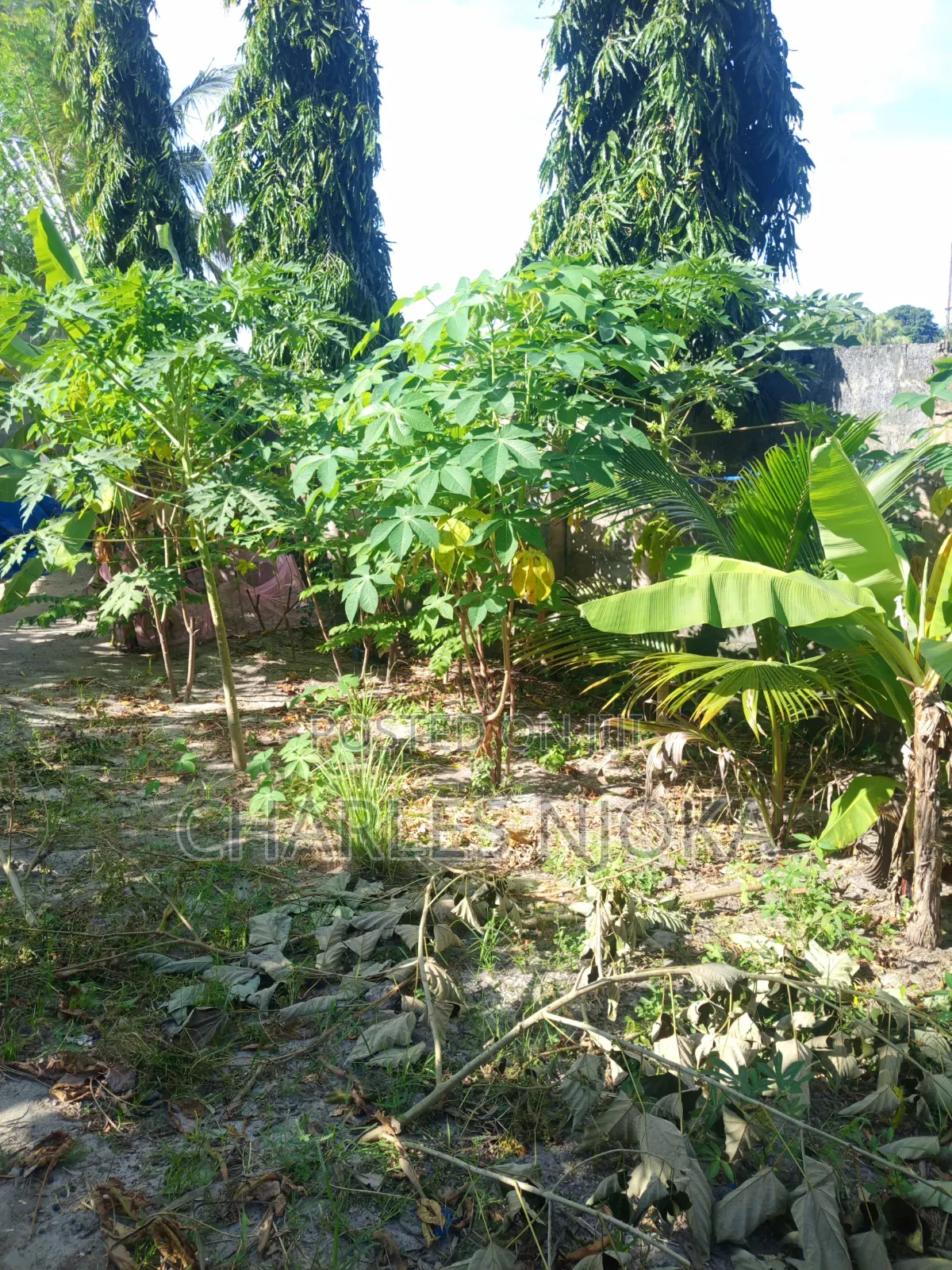 3bdrm House in Moshi Bar Kwadiwani, Ilala for sale
