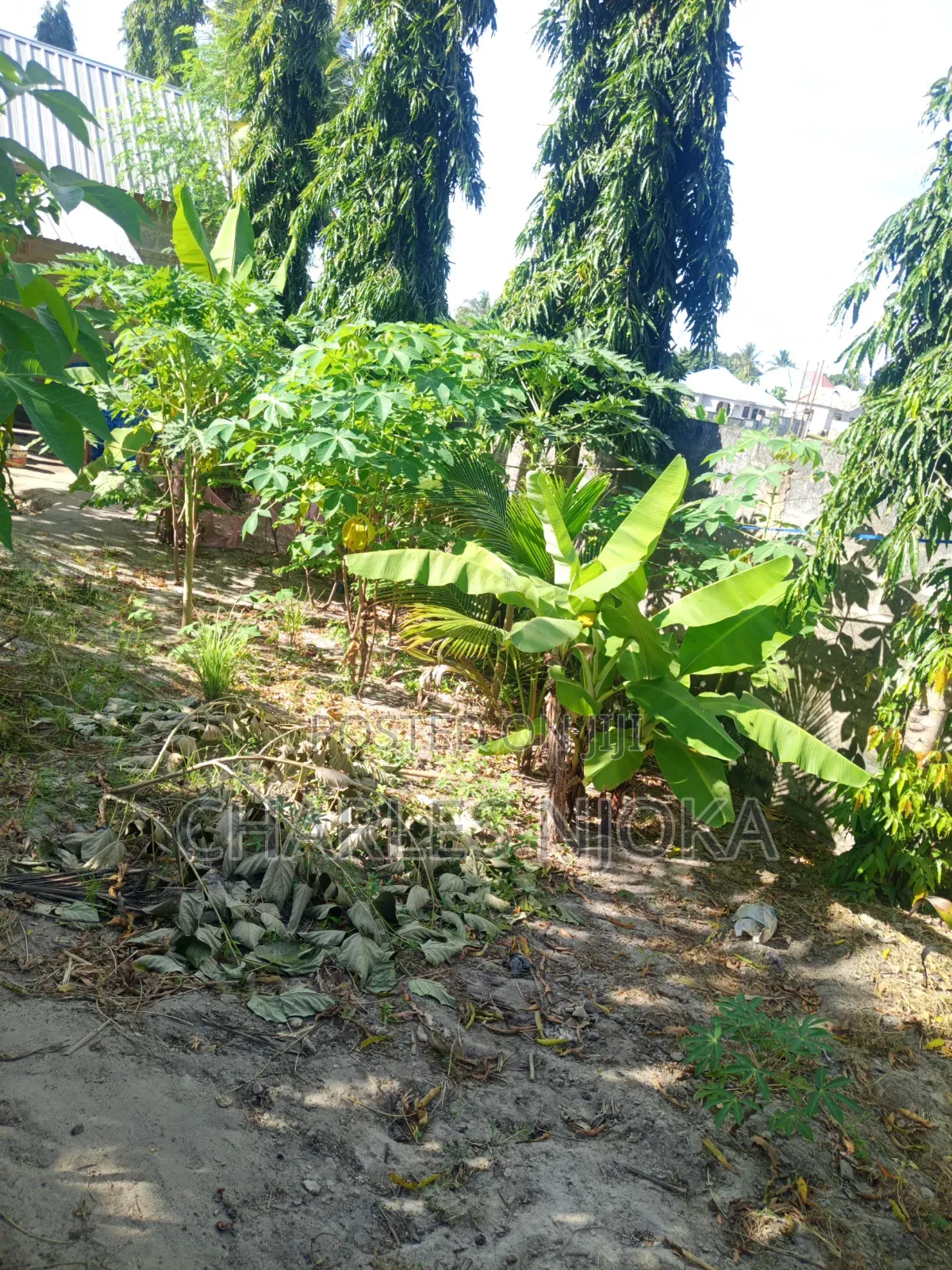 3bdrm House in Moshi Bar Kwadiwani, Ilala for sale