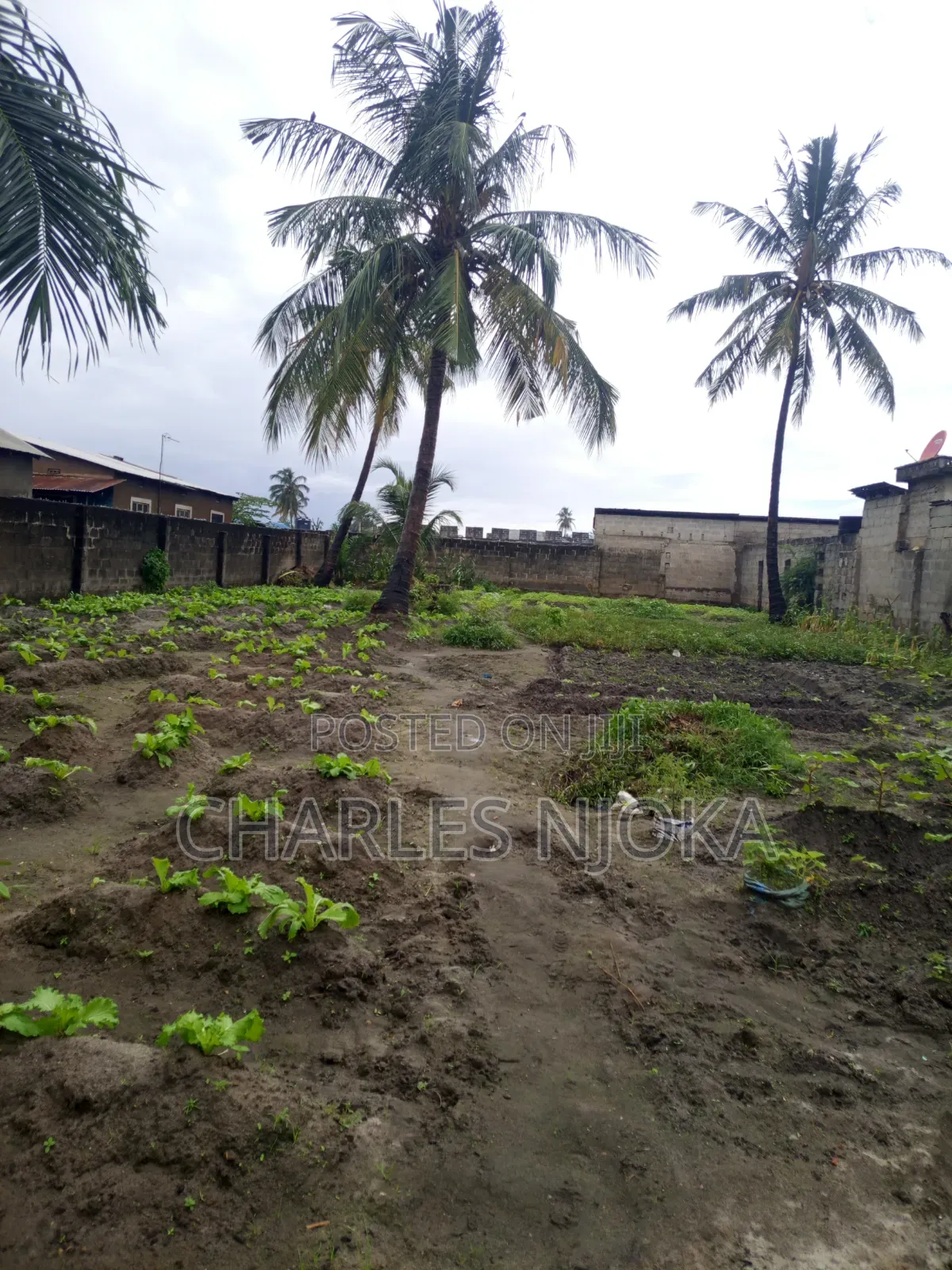 4bdrm Farm House in Mazizini, Ilala for sale