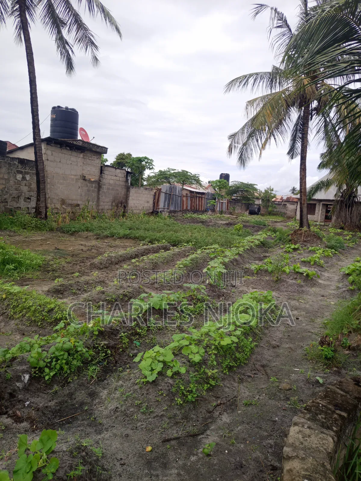 4bdrm Farm House in Mazizini, Ilala for sale