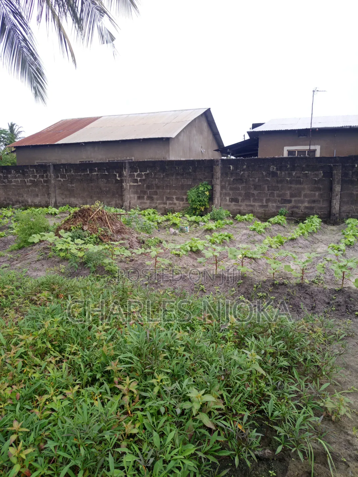 4bdrm Farm House in Mazizini, Ilala for sale