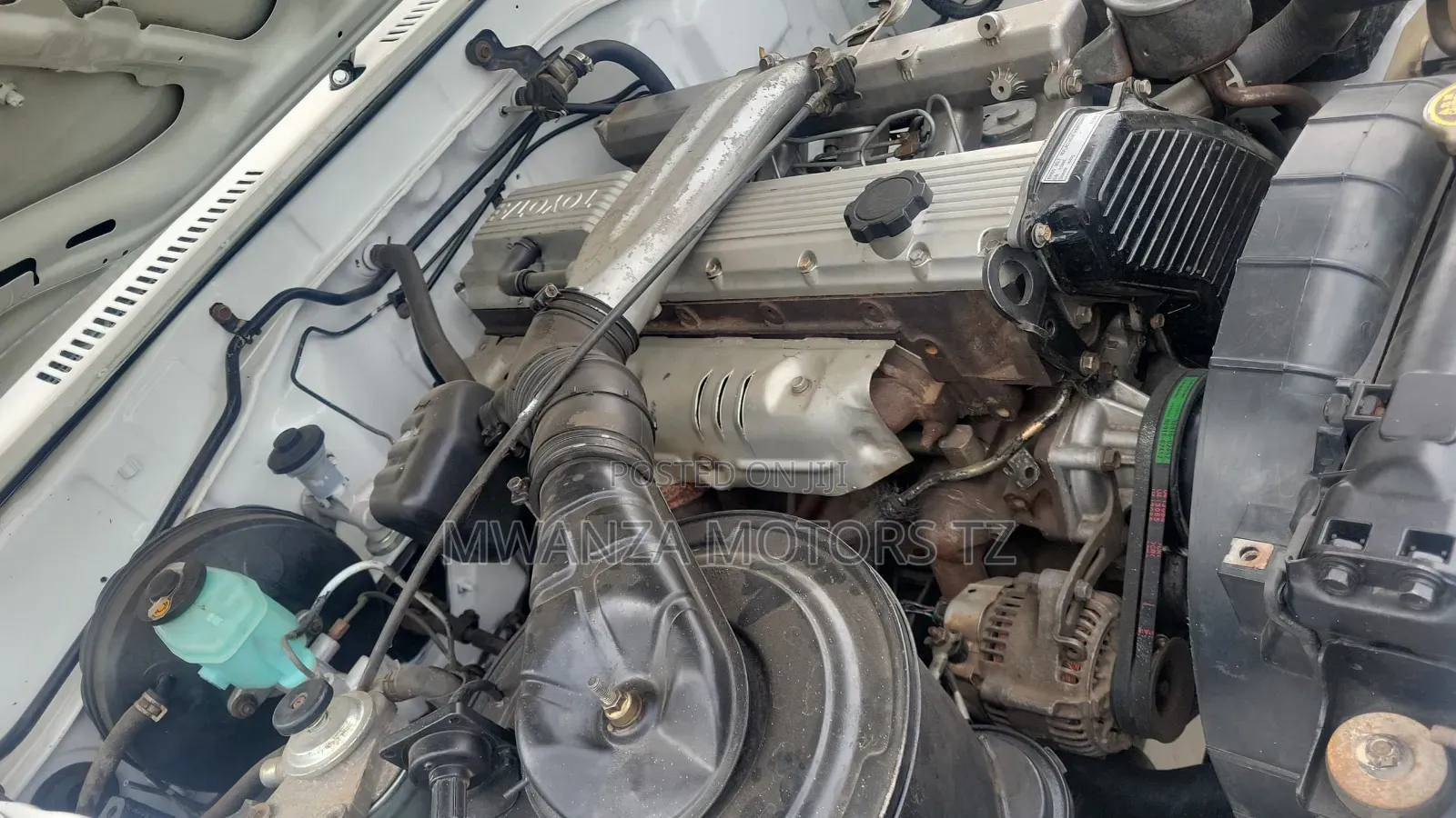 Toyota Land Cruiser 2000 White