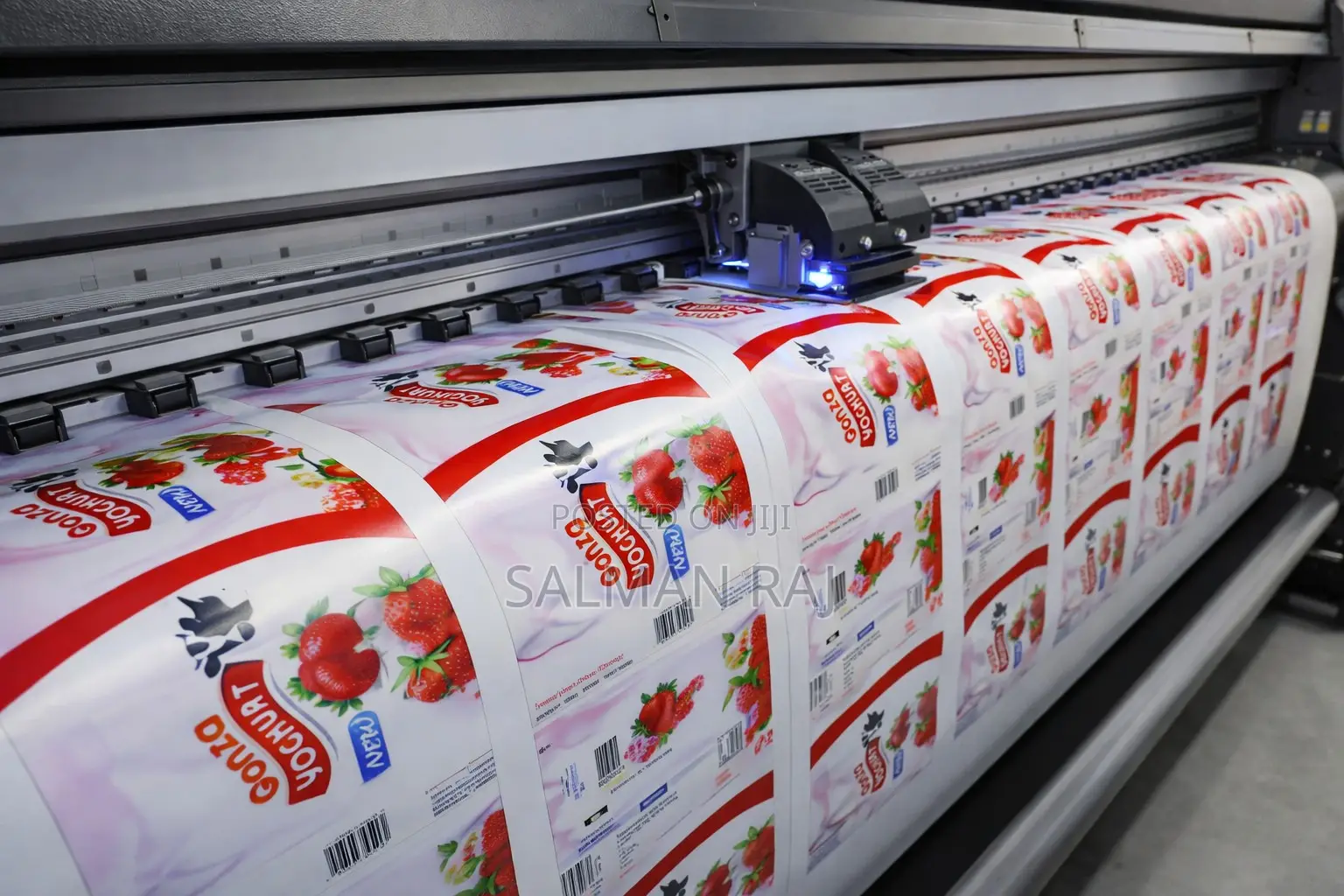 Large Format Graphics Printing Solution
