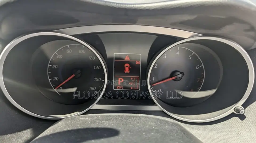 Mitsubishi Outlander 2009 Gray