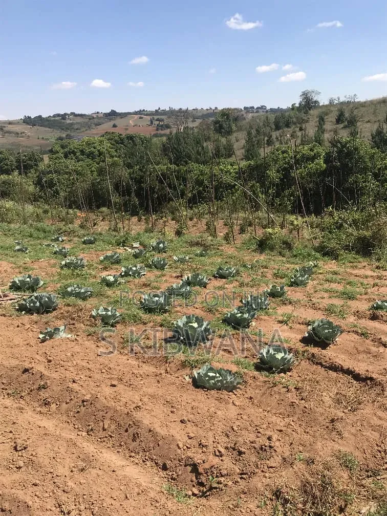 110 Acres of Opportunity Premium Farm for Sale Mufindi, Iringa