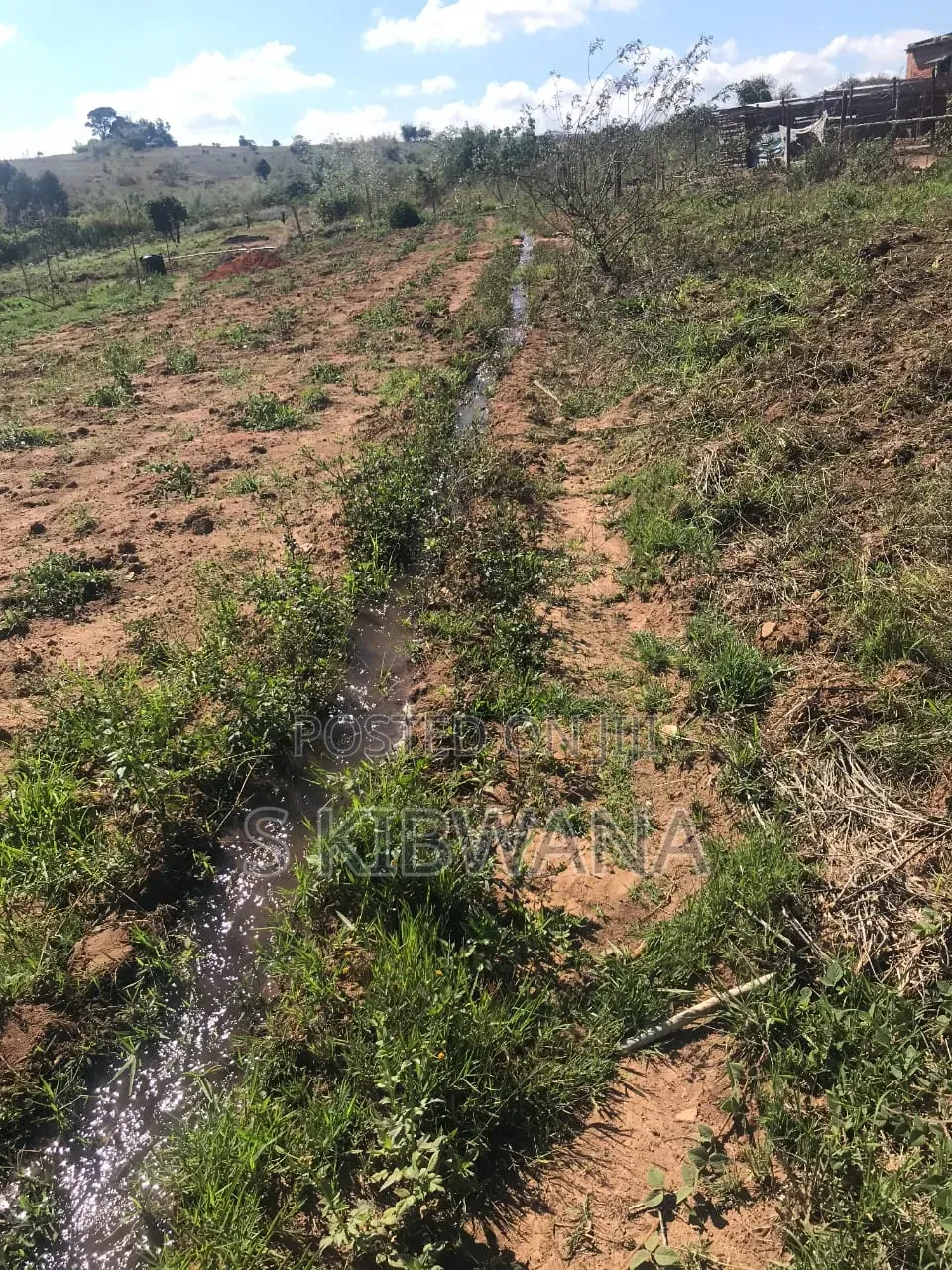 110 Acres of Opportunity Premium Farm for Sale Mufindi, Iringa
