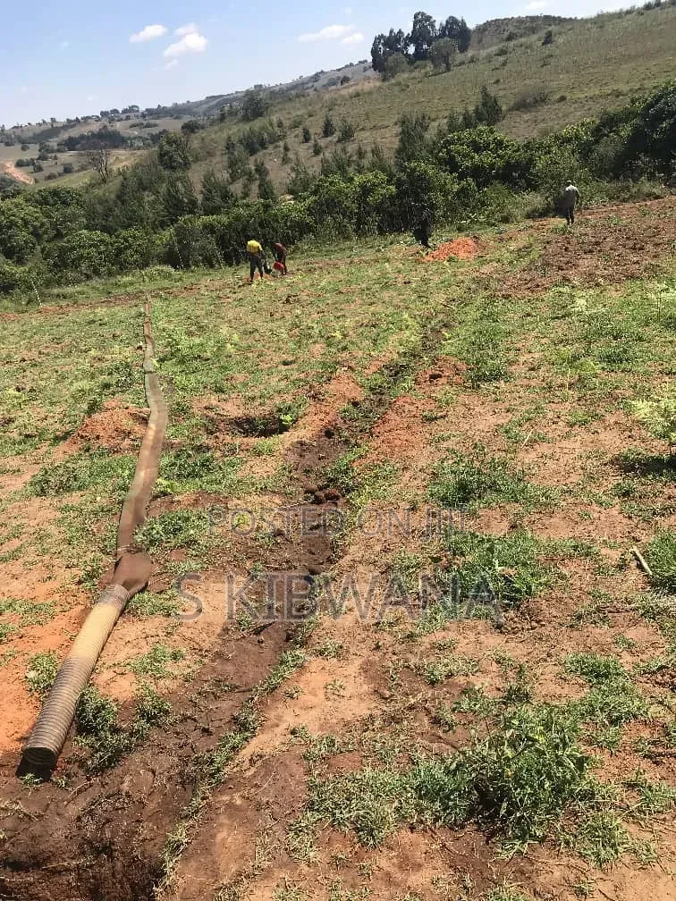 110 Acres of Opportunity Premium Farm for Sale Mufindi, Iringa