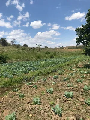 110 Acres of Opportunity Premium Farm for Sale Mufindi, Iringa