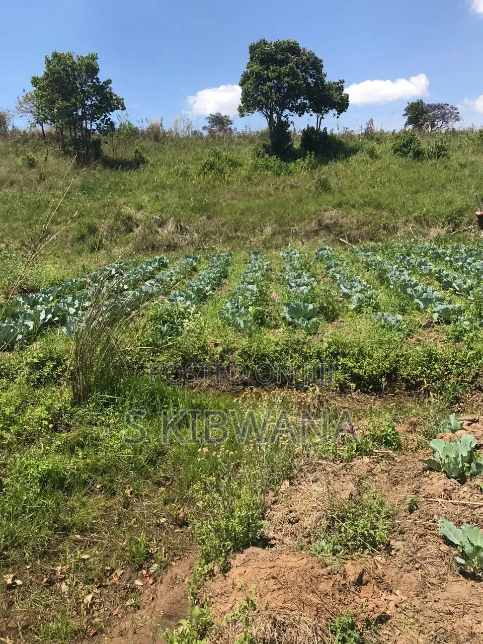 110 Acres of Opportunity Premium Farm for Sale Mufindi, Iringa