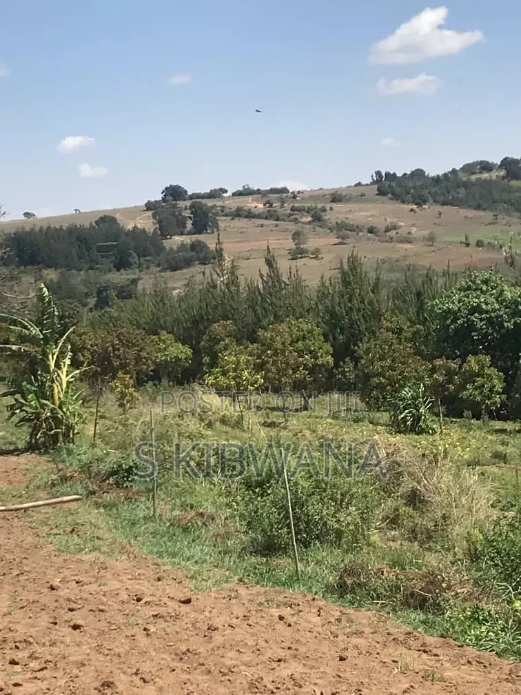 110 Acres of Opportunity Premium Farm for Sale Mufindi, Iringa