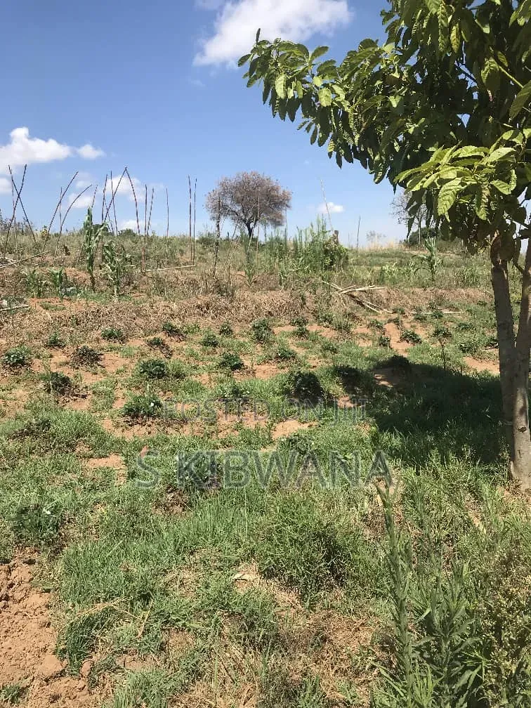 110 Acres of Opportunity Premium Farm for Sale Mufindi, Iringa