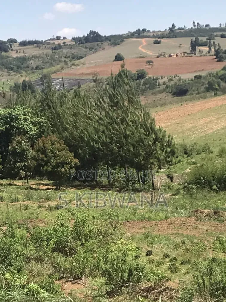 110 Acres of Opportunity Premium Farm for Sale Mufindi, Iringa