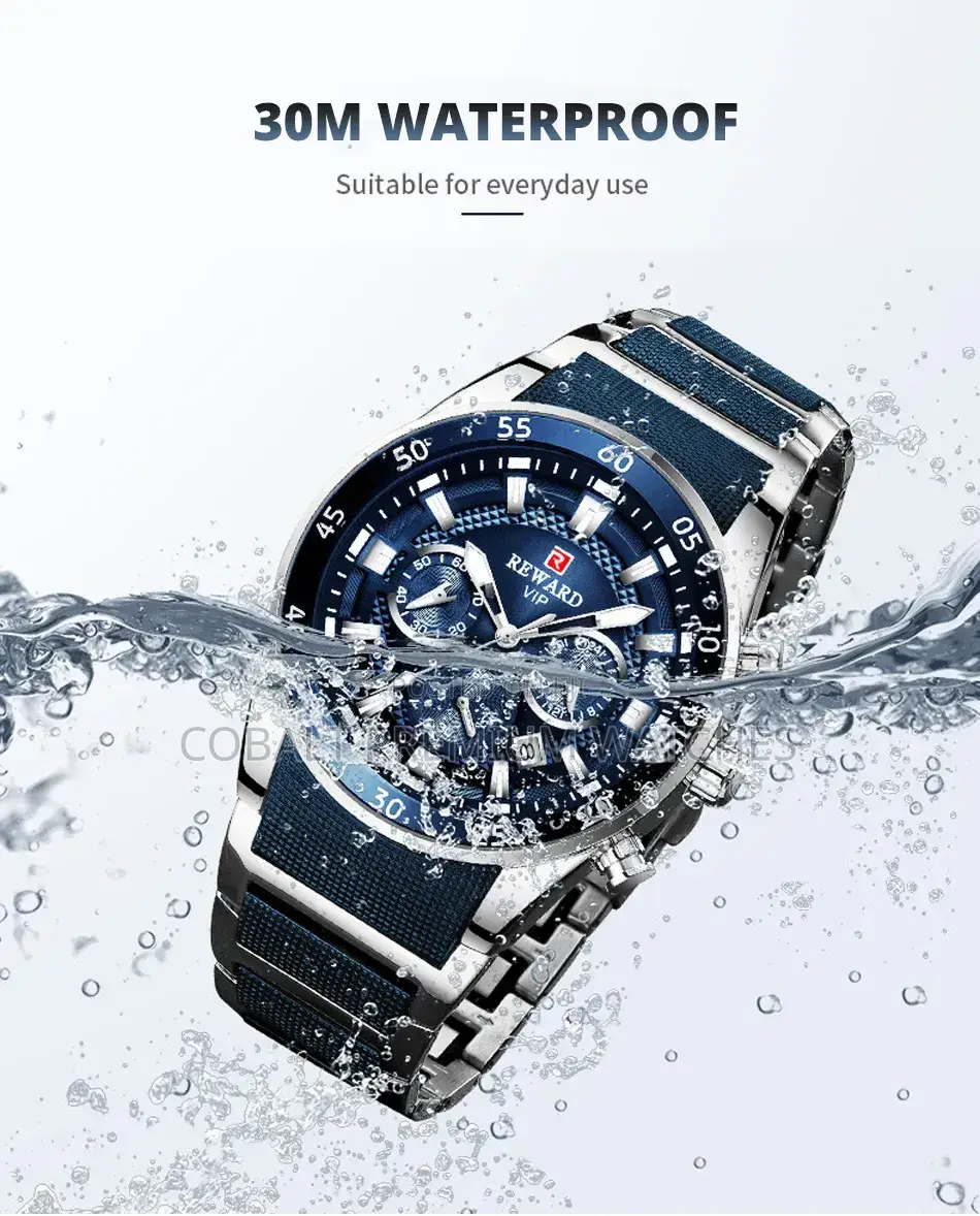 Reward Vip-81011 Luxury Timepiece