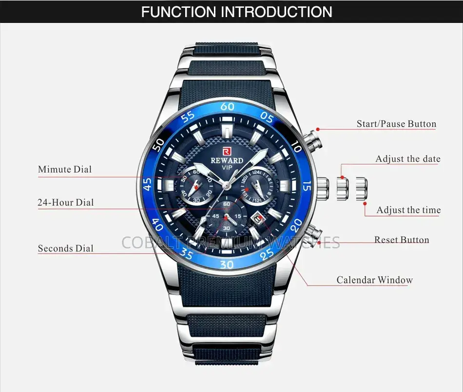 Reward Vip-81011 Luxury Timepiece
