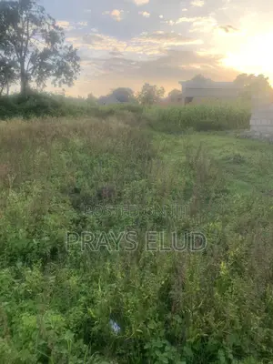 Karibuni Mjipatie Viwanja Kwa Bei Nafuu
