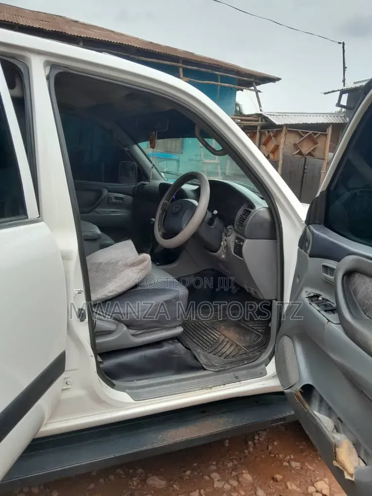 Toyota Land Cruiser 2002 Pearl