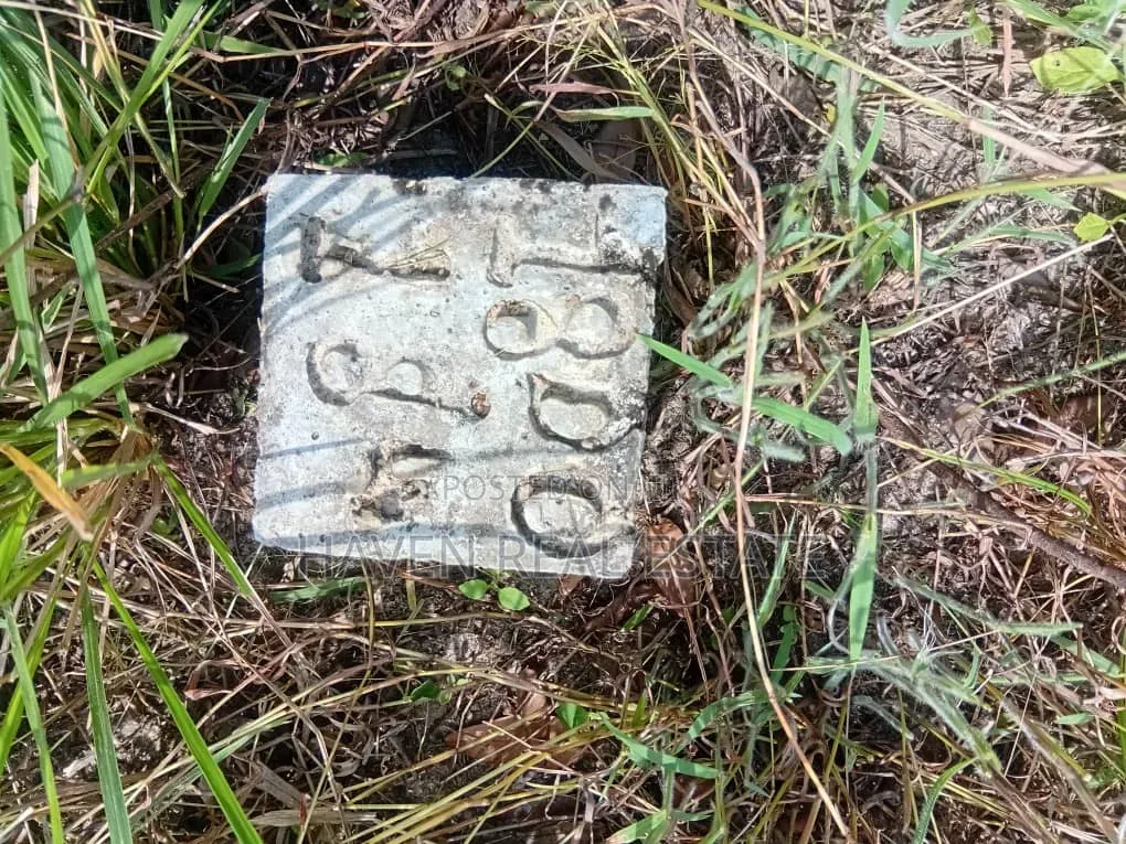 150 Acres for Sale at Mlandizi Kibaha Pwani